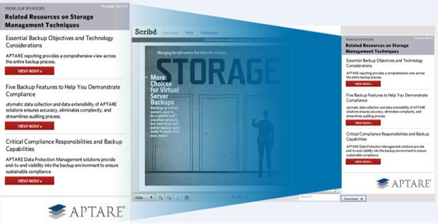 TechTarget download program